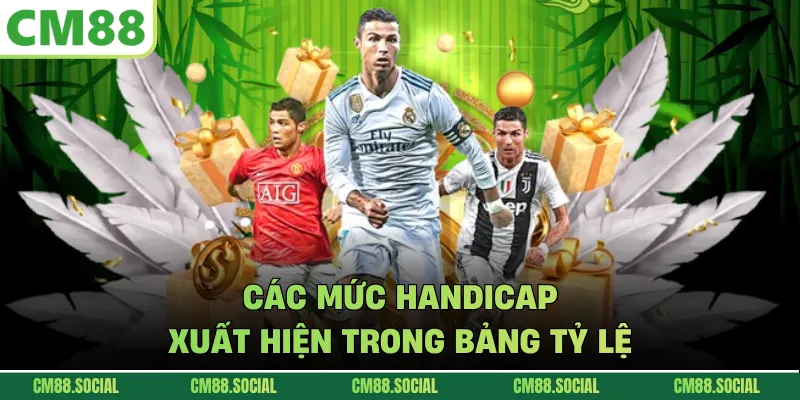 Các mức handicap xuất hiện trong bảng tỷ lệ
