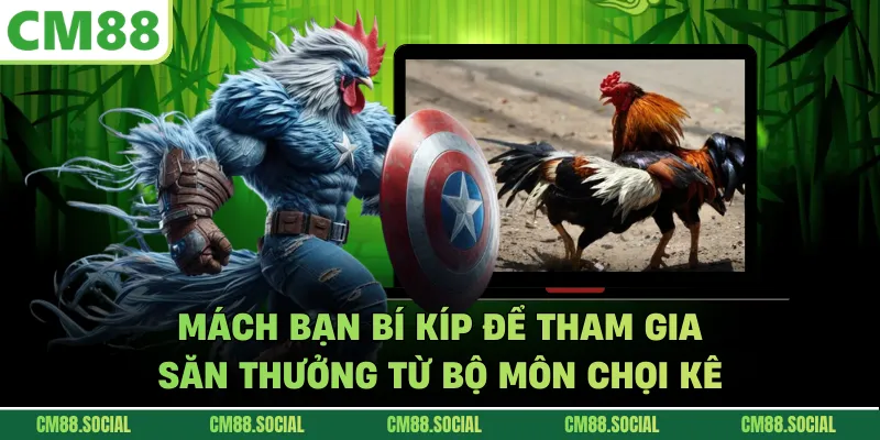 Mách bạn bí kíp để tham gia săn thưởng từ bộ môn chọi kê