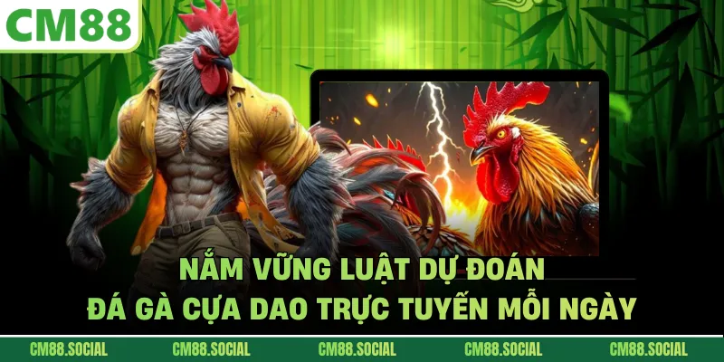 Nắm vững luật dự đoán đá gà cựa dao trực tuyến mỗi ngày