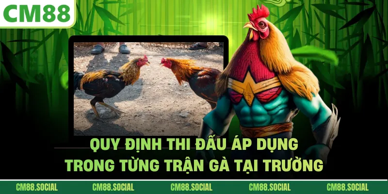 Quy định thi đấu áp dụng trong từng trận gà tại trường