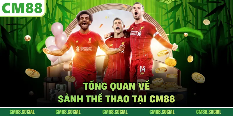 Tổng quan về sảnh thể thao tại CM88